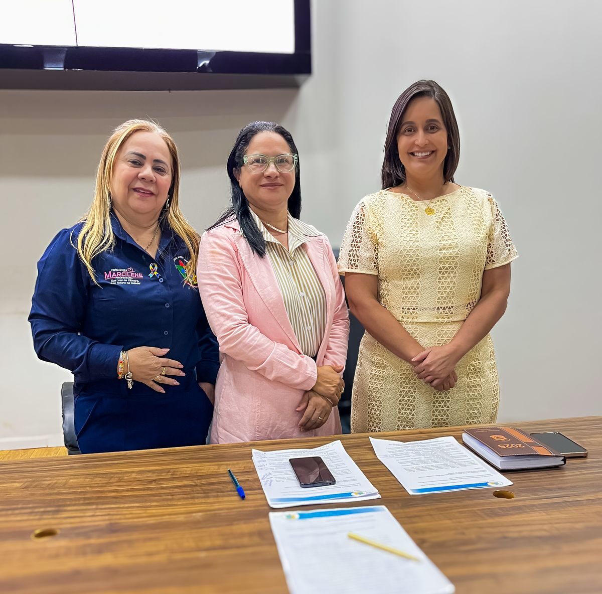 Primeira Reunião da Procuradoria da Mulher da Câmara Municipal de Santa Helena de Goiás